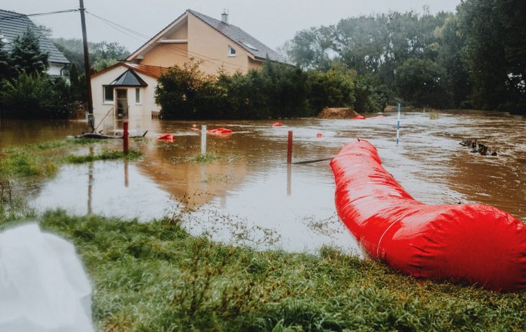 A Flooded Basement, From Cleanup to Final Bill