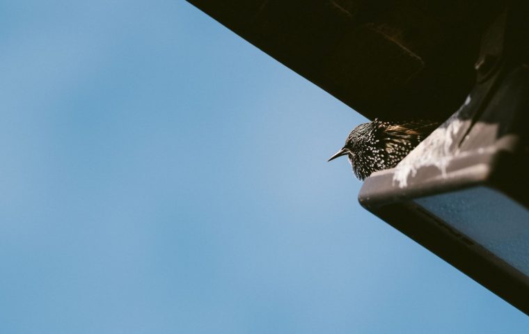 Gutter Replacement Cost and When It Is Worth It
