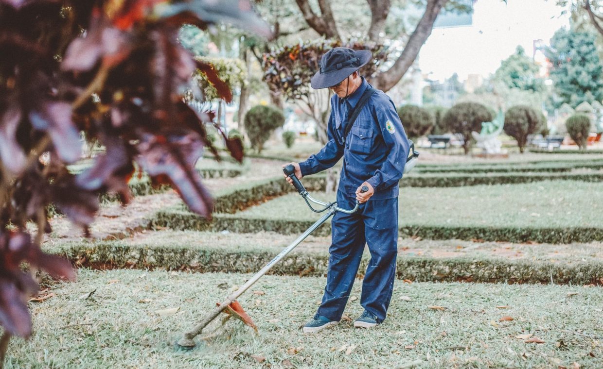 A gardener trims grass in a scenic park setting, focusing on maintenance and landscaping.