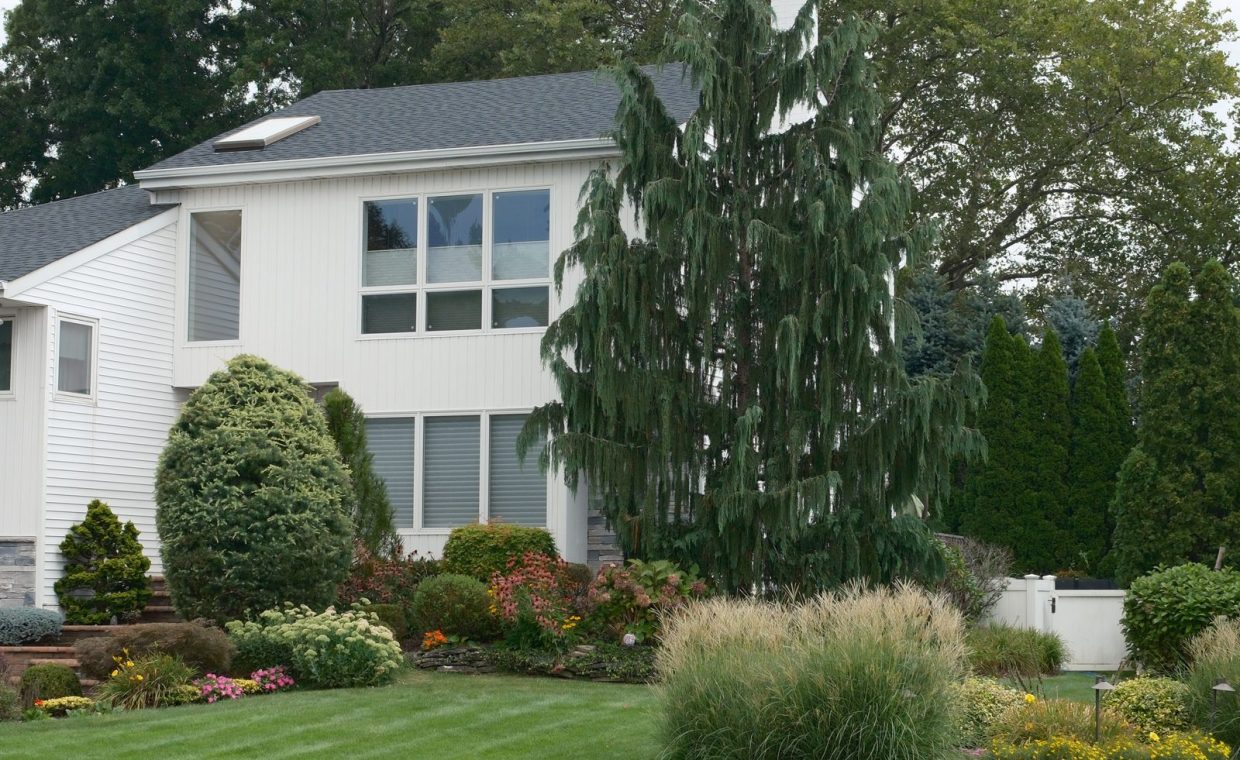 Beautiful suburban home with manicured garden and diverse greenery, capturing modern residential architecture.