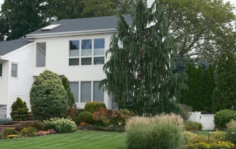 10 Landscaping Projects Ranked by ROI