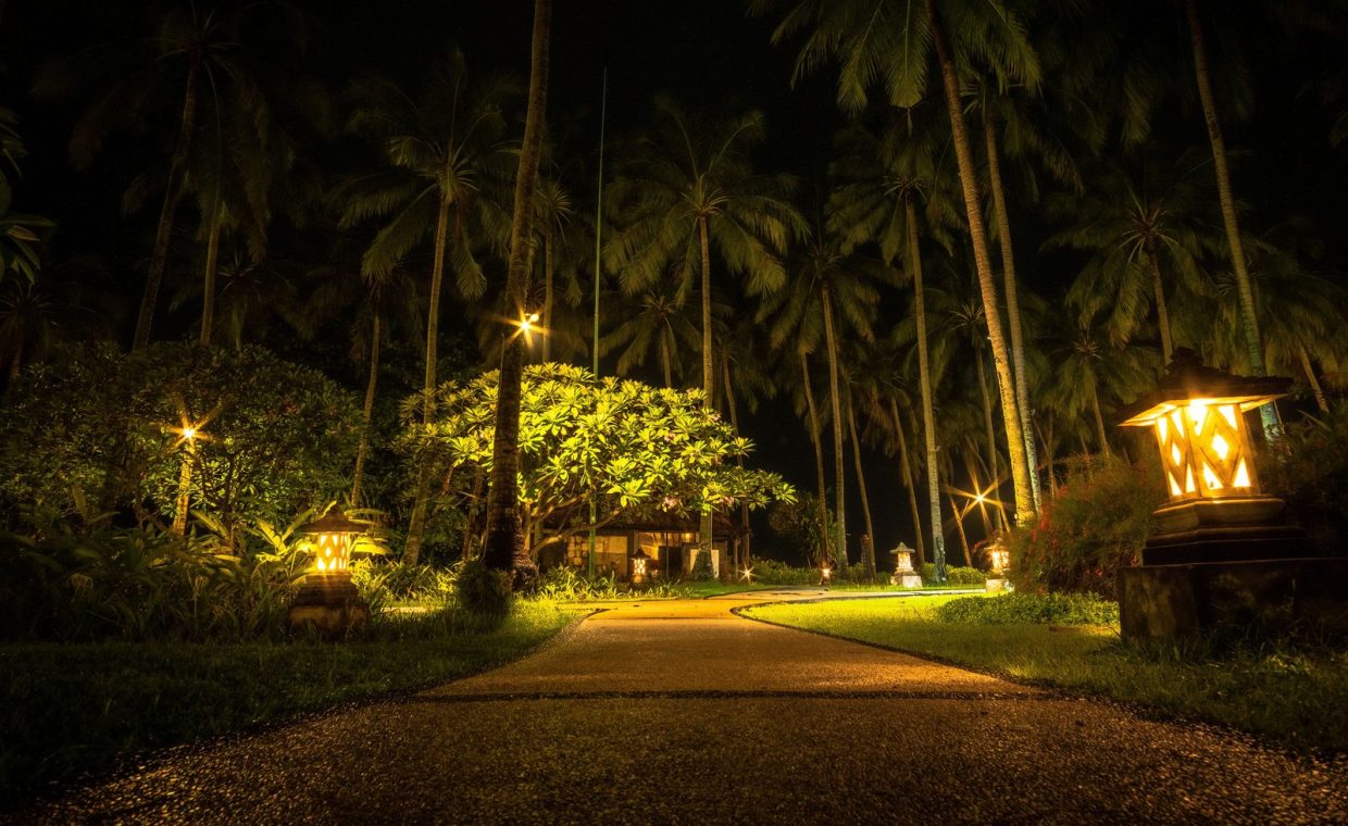 A serene path through palm trees illuminated by warm lights, creating a magical night ambiance.
