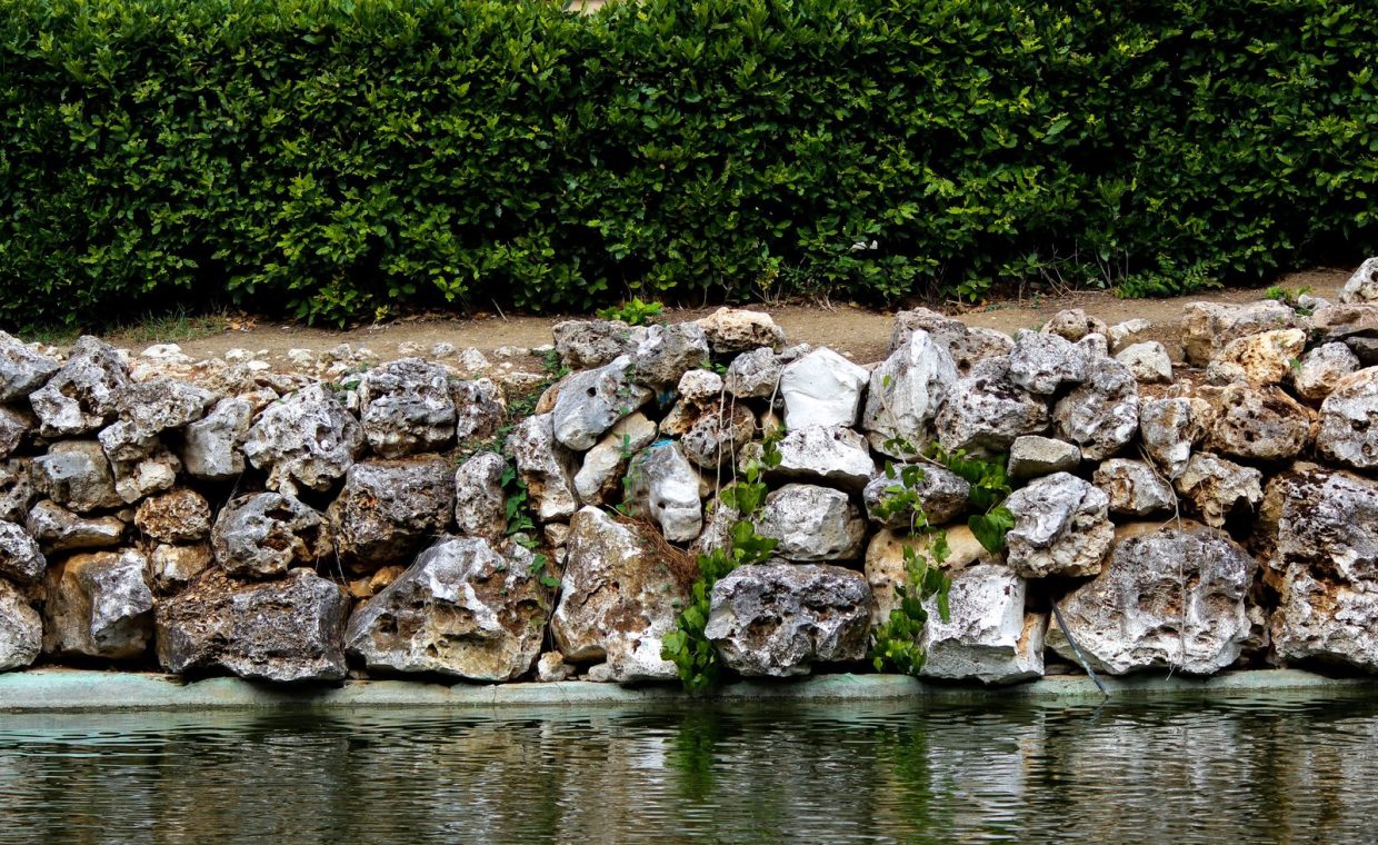 Rustic stone retaining wall by a pond, accented with adjacent green hedge.