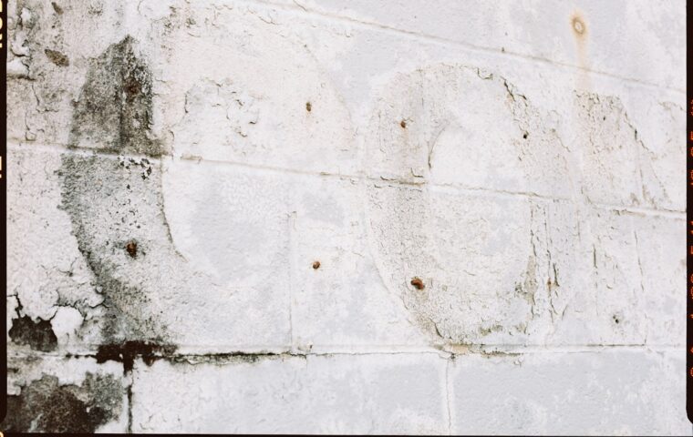 Mold Remediation Cost by Size and Severity
